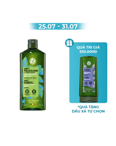 Dầu Gội Trị Gàu Anti-Dandruff Treatment Shampoo Sulfate Free  300Ml