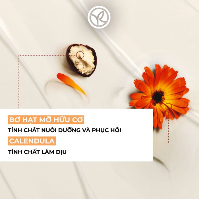 Sữa Dưỡng Thể Toàn Thân Yves Rocher Dưỡng ẨmLiên Tục 24H Repair Dạng Chai 390ML
