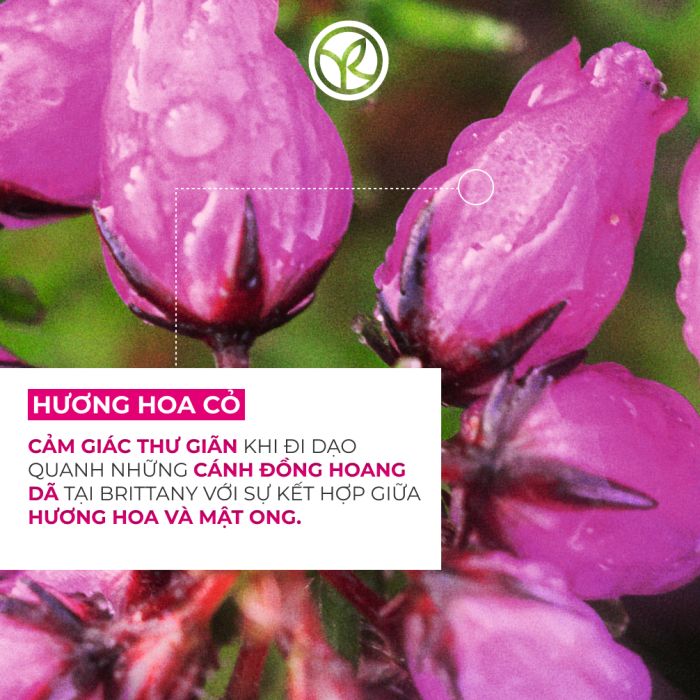 NATURE BATH RELAXING BATH AND SHOWER GEL MEADOW FLOWER & HEATHER BOTTLE 400ML