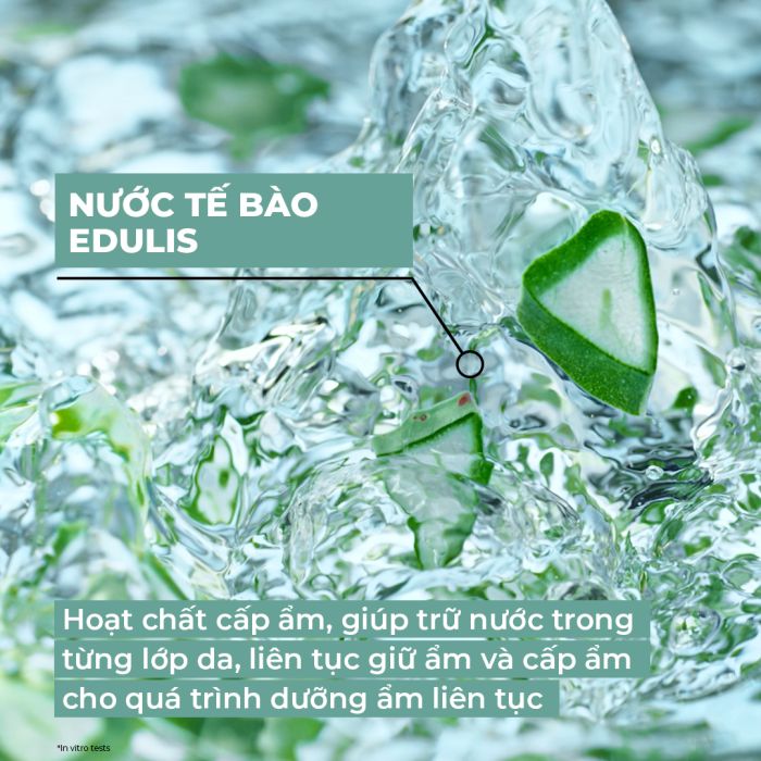Serum Cấp Ẩm 100 Giờ Và Làm Dịu Da Hydra Vegetal 100H Non-Stop Moisturizing Serum Pump