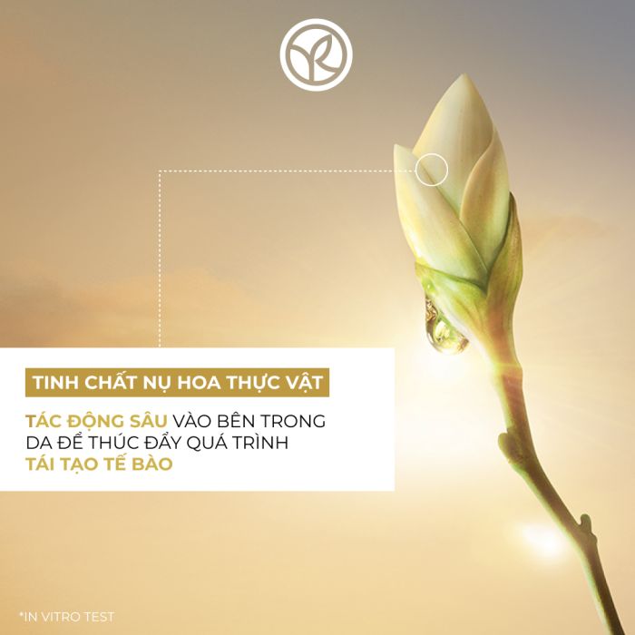 Kem Dưỡng Chống Lão Hóa Toàn Diện Cho Da Vùng Mắt -Anti-Age Global The Anti-Aging Illuminating Care - Eye Care Tube 15Ml