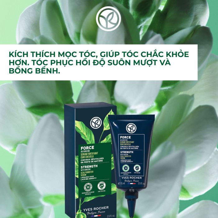 Serum Tinh Chất Kích Thích Mọc Tóc Anti-Hair Loss Strength With Ginseng Scalp Booster Serum Tube 75Ml