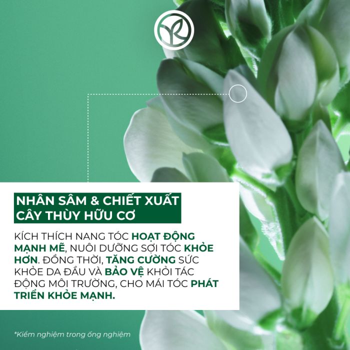 Serum Tinh Chất Kích Thích Mọc Tóc Anti-Hair Loss Strength With Ginseng Scalp Booster Serum Tube 75Ml