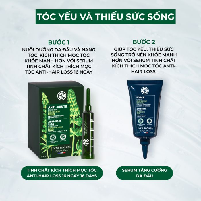 Serum Tinh Chất Kích Thích Mọc Tóc Anti-Hair Loss Strength With Ginseng Scalp Booster Serum Tube 75Ml