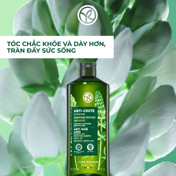 Dầu Gội Trị Rụng Tóc Anti-Hair Loss With White Lupin Fortifying Shampoo Sulfate Free  300Ml