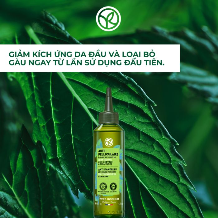 ANTI-DANDRUFF SCALP TREATMENT LOTION BOTTLE 150ML