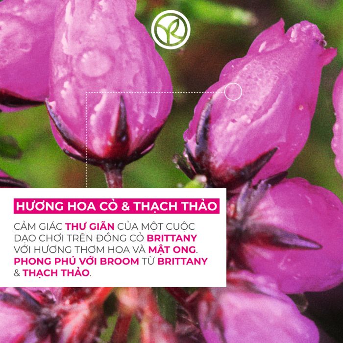 Kem Dưỡng Da Tay Yves Rocher Hương Hoa Cỏ Hand Cream Meadow Flower & Heather 30ML