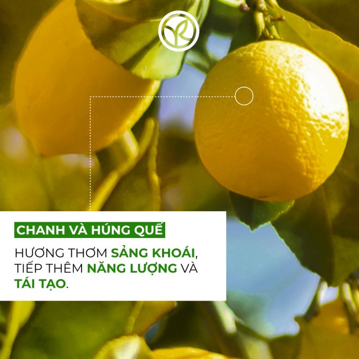 Sữa Tắm Dạng Gel Yves Rocher Hương Chanh & Hương Nhu Nature Bath Energizing Bath And Shower Gel Lemon & Basil 400ML