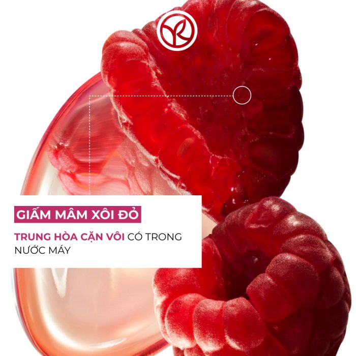Dầu Xả Giữ Màu Cho Tóc Nhuộm Và Giúp Tóc Bóng Mượt Shine Protective Conditioner  200Ml