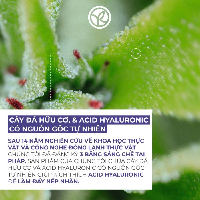 Kem Dưỡng Da Chống Lão Hóa, Giảm Nếp Nhăn Ban Đêm Filler Vegetal Anti-Wrinkles Plumping Night Care Pot 50Ml