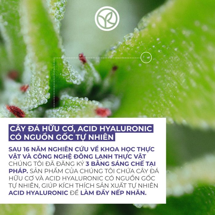 Kem Dưỡng Da Chống Lão Hóa Cải Thiện Nếp Nhăn Ban Ngày Filler Vegetal Smoothing Radiance Care Pot 50Ml