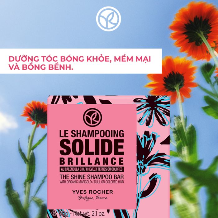 Dầu Gội Dạng Thanh Giúp Tóc Bóng Mượt - The Shine Shampoo 60G