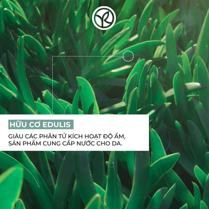 HYDRA VEGETAL ANTI-FATIGUE MOISTURIZING FRESH GEL TUBE 15ML