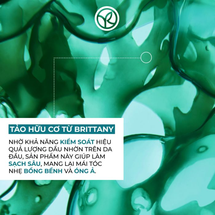 Dầu Xả Ngăn Dầu Giảm Bết Tóc Refresh Purifying Conditioner  200Ml