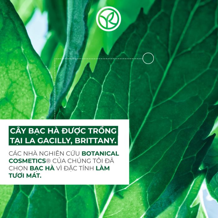 Tẩy Tế Bào Chết Dành Cho Da Dầu Mụn-Pure Menthe Purifying Scrub Tube 75Ml