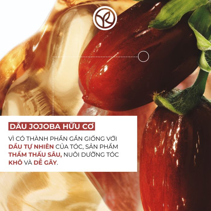 Mặt Nạ Ủ Tóc Phục Hồi Tóc Hư Tổn Và Khô Xơ Repair Hair Care Restoring Mask Tube 200Ml
