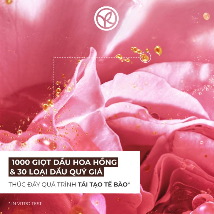 Kem Dưỡng Da Yves Rocher Ban Ngày Giảm Nếp Nhăn Ngăn Ngừa Lão Hóa Riche Creme 4 Beneficial Anti-Wrinkle Day Cream 50ML