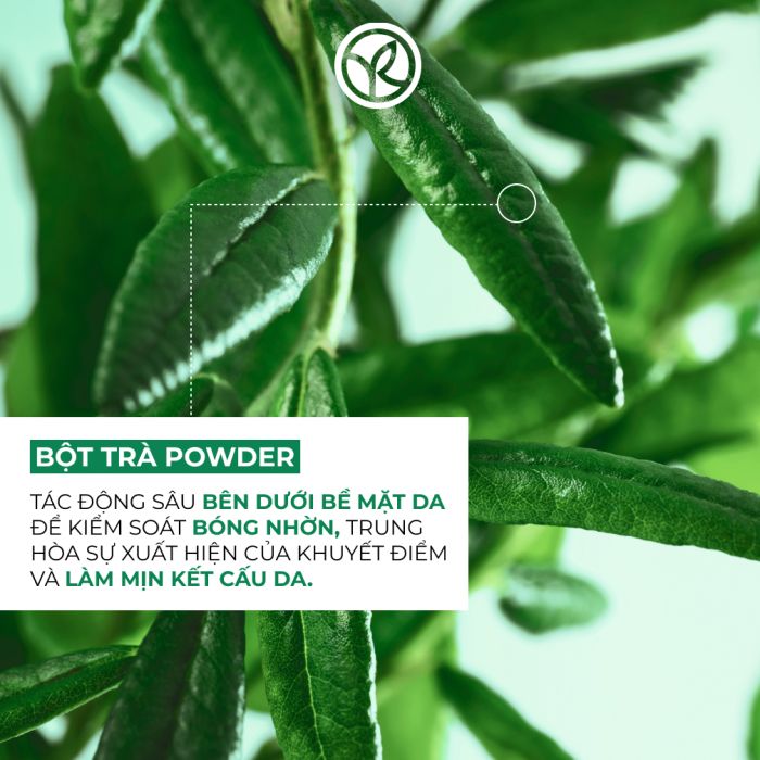 Serum Tinh Chất Giúp Giảm Mụn Thu Nhỏ Lỗ Chân Lông Sebo Pure Vegetal Rebalancing Antioxidant Essence Combination 30Ml