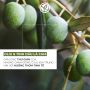 Sữa Tắm Thư Giãn Yves Rocher Hương Oliu Bath & Shower Gel Olive & Petit Grain 400ML