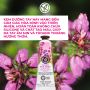 Kem Dưỡng Da Tay Yves Rocher Hương Hoa Cỏ Hand Cream Meadow Flower & Heather 30ML