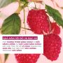 NATURE BATH MOISTURIZING HAND CREAM RASPBERRY & PEPPERMINT TUBE 30ML