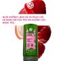Dầu Xả Giữ Màu Cho Tóc Nhuộm Và Giúp Tóc Bóng Mượt Shine Protective Conditioner  200Ml