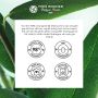 Serum Tinh Chất Giúp Giảm Mụn Thu Nhỏ Lỗ Chân Lông Sebo Pure Vegetal Rebalancing Antioxidant Essence Combination 30Ml