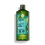 Dầu Gội Ngăn Dầu Giảm Bết Tóc Refresh Purifying Shampoo Sulfate Free  300Ml