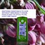 Dầu Xả Làm Phồng Tóc Volume Plumping Shampoo Sulfate Free  300Ml