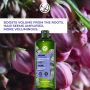 Dầu Gội Làm Phồng Tóc Volume Plumping Shampoo Sulfate Free  300Ml